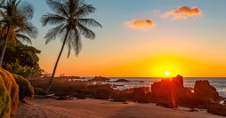 Pura Vida y Paraíso en Tamarindo