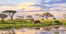 Safari en Tanzania, Serengeti y Ngorongoro