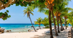 Ciudades y todo incluido en Roatán