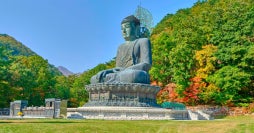 La esencia de Corea, con guía acompañante