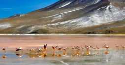 Chile 360: Santiago, Patagonia y Atacama