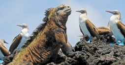 De Machu Picchu a las Galápagos
