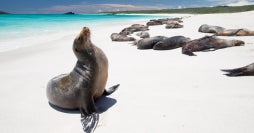 De la selva amazónica a las Galápagos