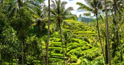 Viaje al corazón de Bali