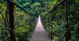Lo mejor de Panamá: Canal, Boquete y Bocas