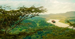 Ciudad de Panamá y la selva de Gamboa
