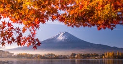 Templos y Fuji: Ruta Emblemática de Japón