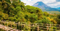 Pura Vida: Arenal y playas del Pacífico