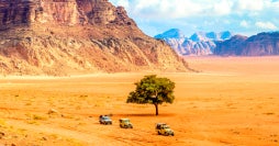 Petra, Dubái y Todo Incluido en el Edén