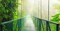 Arenal, Puerto Viejo y Bocas del Toro