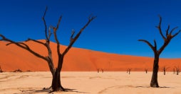 Safaris, dunas y montañas Naukluft